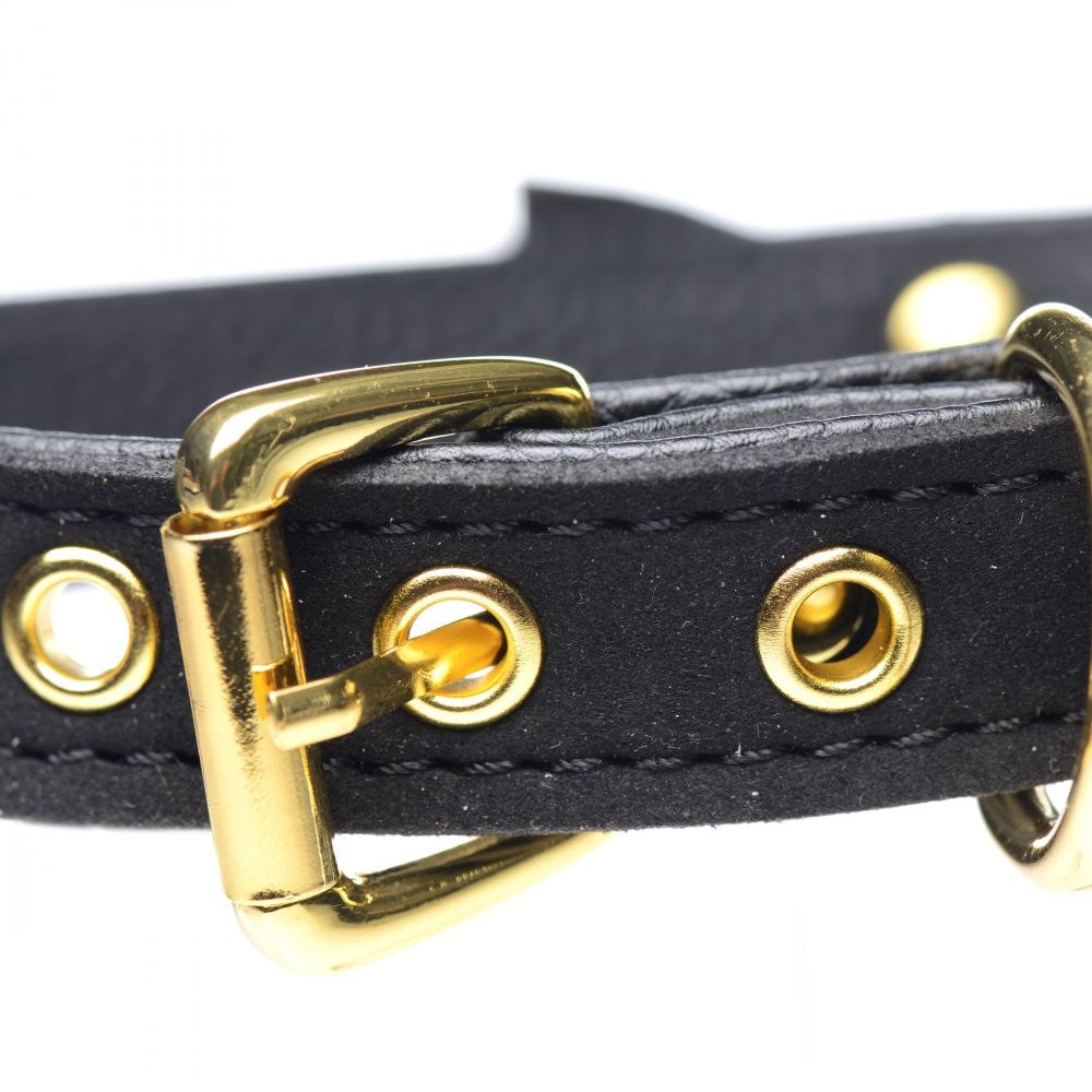 Golden Kitty Cat Bell Collar