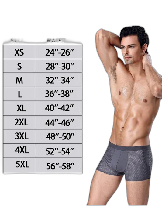 4 Pack Mesh Breathable Ice Silk Underwear Boxer