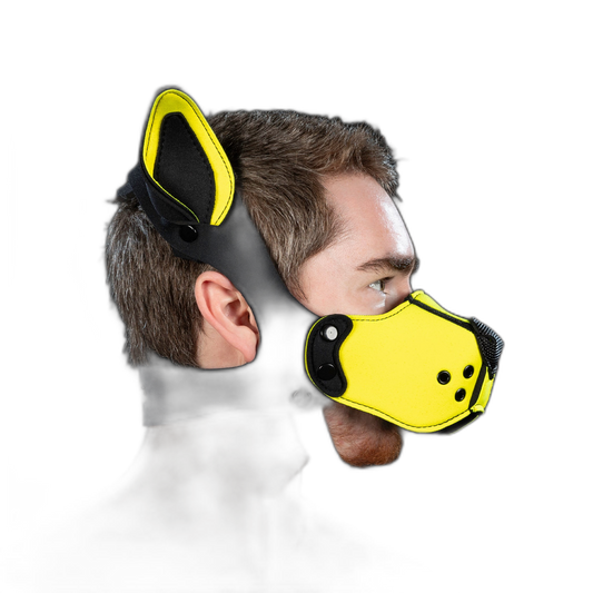 Mr S Leather Neoprene K9 Kit Muzzle Yellow
