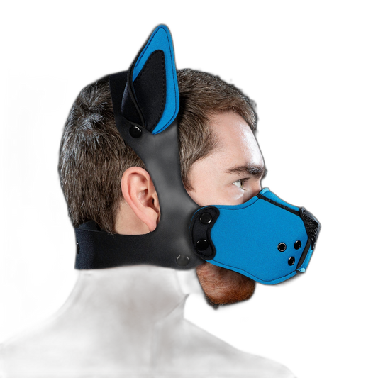 Mr S Leather Neoprene K9 Kit Muzzle Cobalt