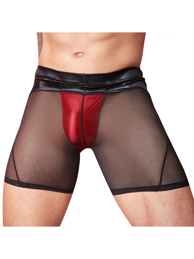 Men's U-Shaped Pouch Sexy Trunks