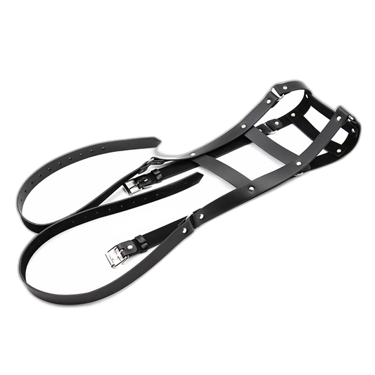 Double Strap Shoulder Harness