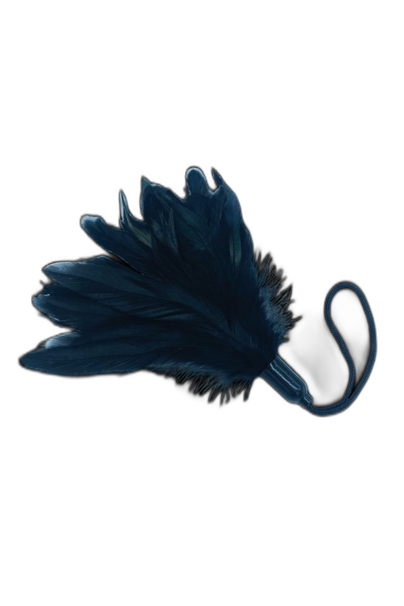 Black Feather Tickler