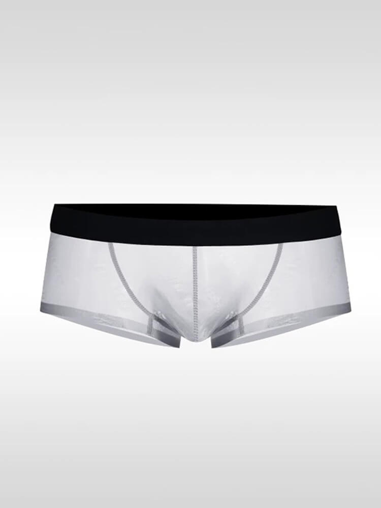 Men's Ultra-Thin Sexy Sheer High-Cut Underwear