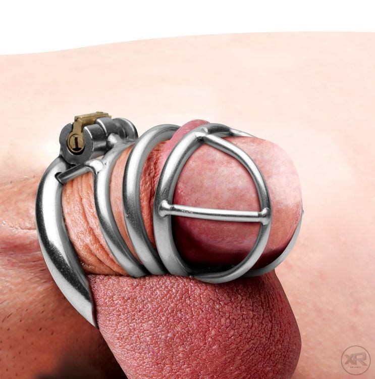 The Pen Deluxe Stainless Steel Locking Chastity Cage