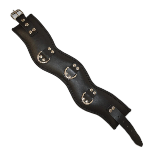 Prowler RED Leather Posture Collar Black