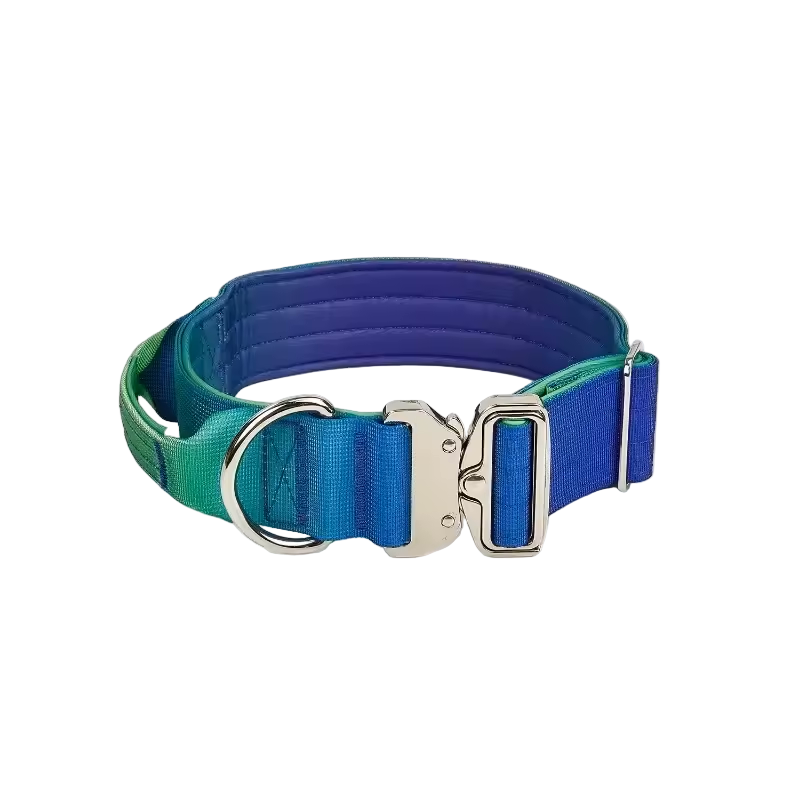 Heavy Duty Gradient Collar Blue/Green