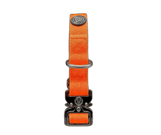 2.5cm Tactical™ Collar Orange
