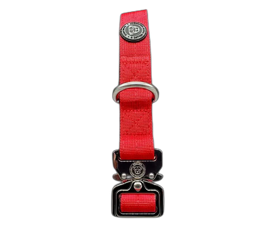 2.5cm Tactical Collar Red
