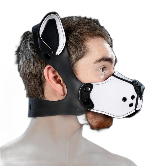 Mr S Leather Neoprene K9 Kit ears White