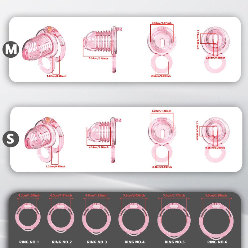 Transparent Flexible Chastity Cage with Stretchable Design (R6)