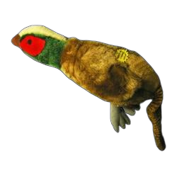 Migrator Pheasant Medium Plushie