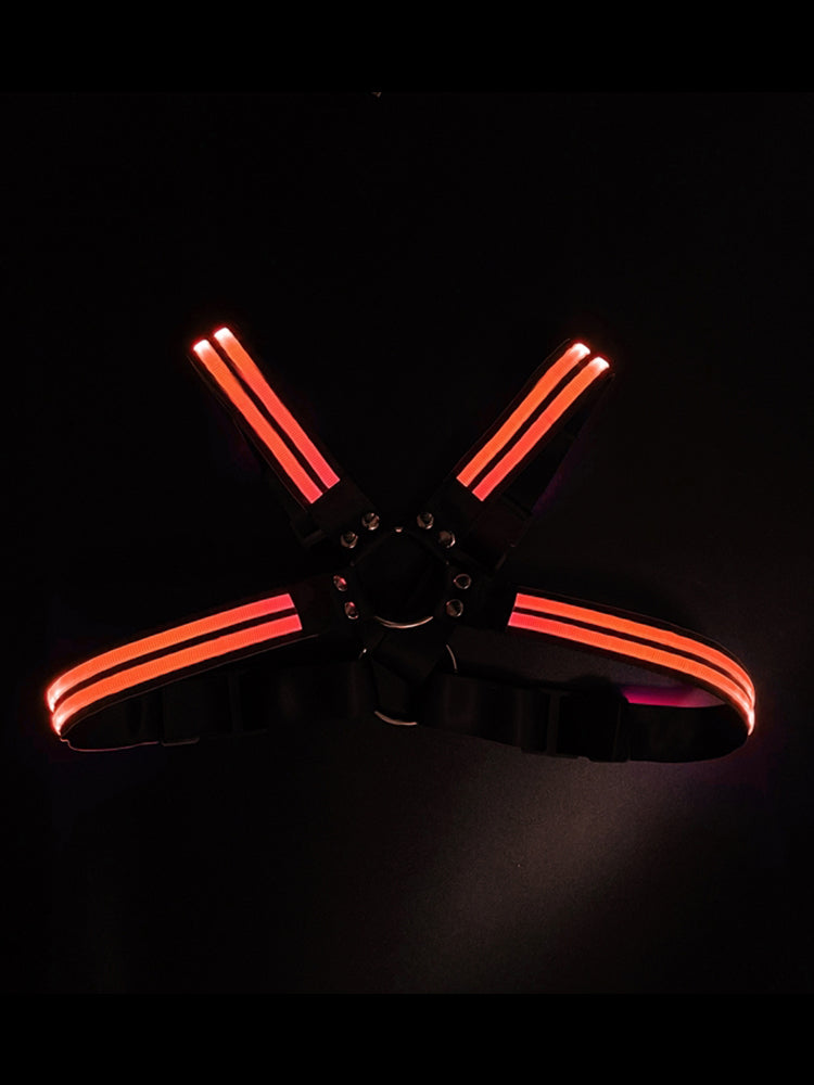 D.M Radiant Harness Circuit Party Shoulder Harness