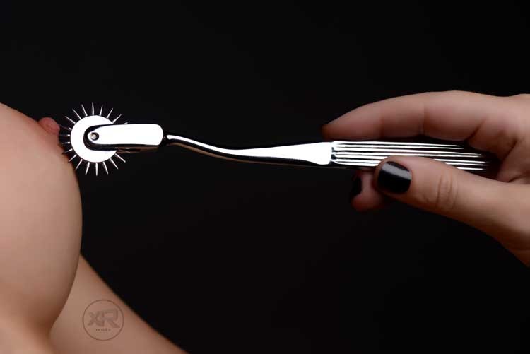 Wartenberg Wheel With Sheath