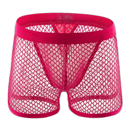 AllureFit Sexy Mesh Boxers Briefs