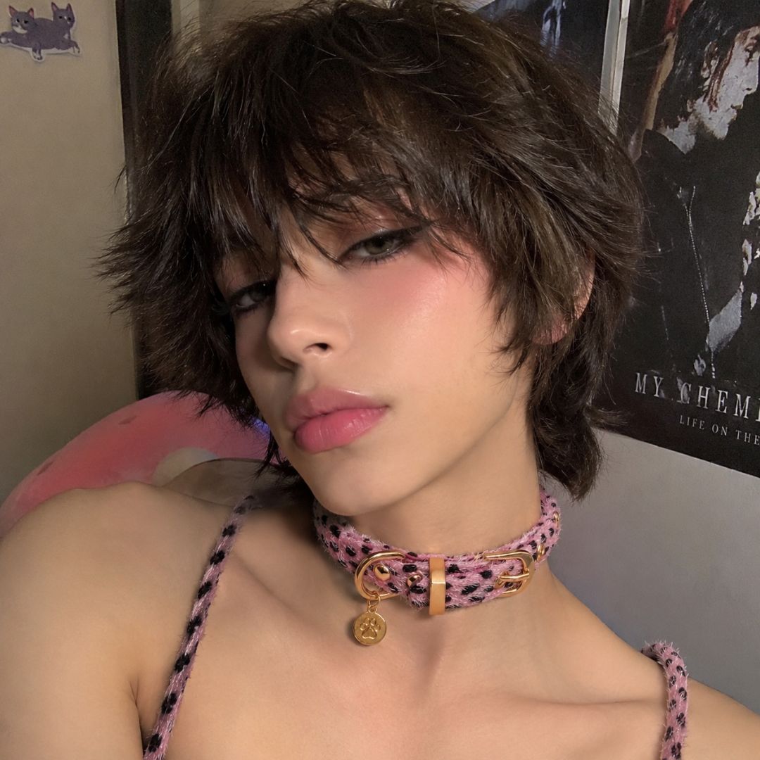 Princess Paw Choker