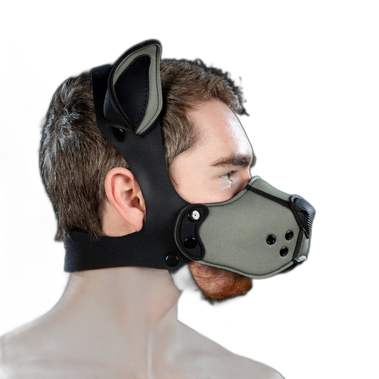 Mr S Leather Neoprene K9 Kit Grey