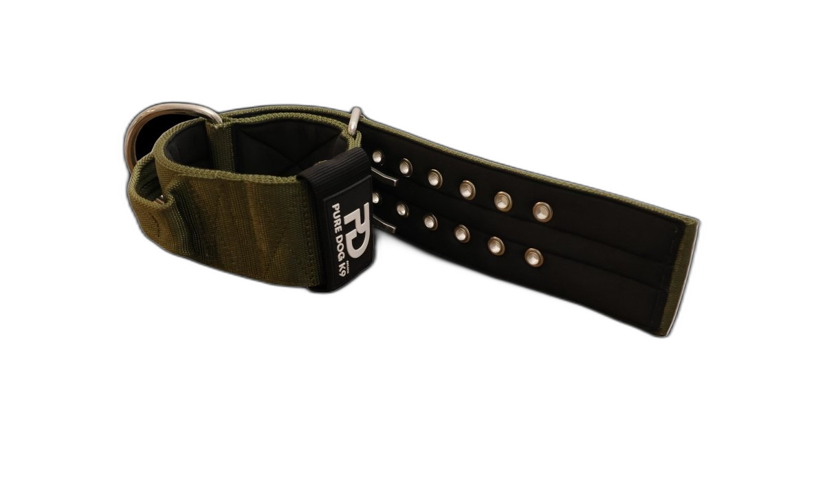 Pure Dog K9 Sport Collar Khaki