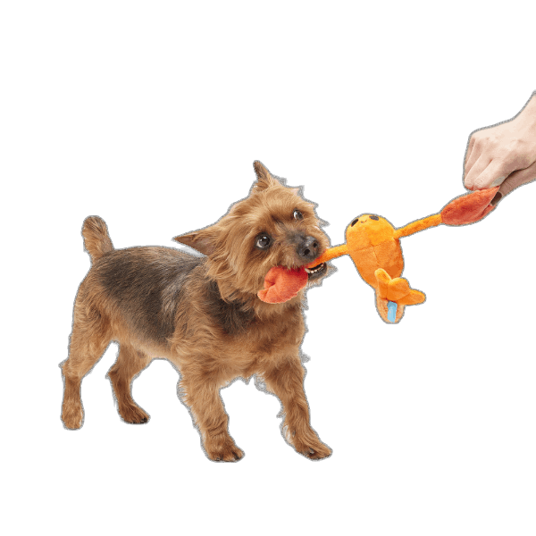 Bark Della Crawfish Dog Toy
