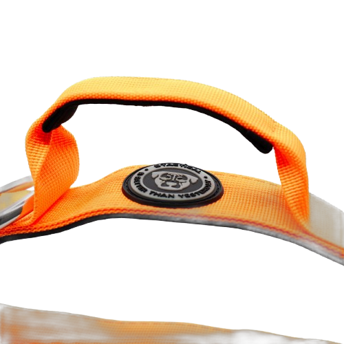 4cm Tactical Collar Orange