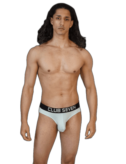 Oxidised Briefs Teal