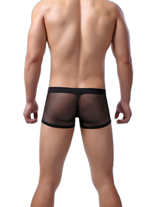 Men's Sexy Transparent Mesh Trunks