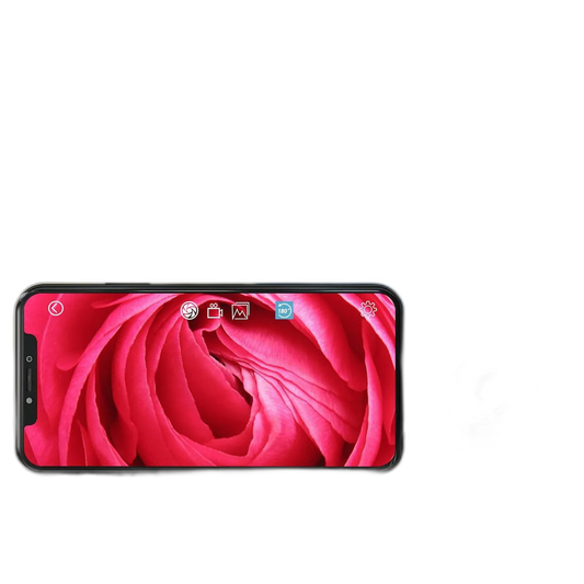 PeepHoney - 6 Inch App Controlled Endoscope Vibrator