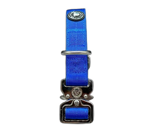 2.5cm Tactical Collar Blue