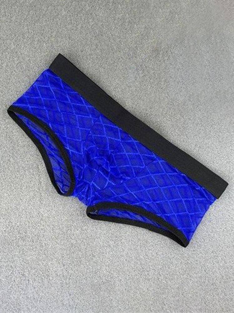 Men's Sexy Mesh See-Through Low-Rise Boxer Briefs