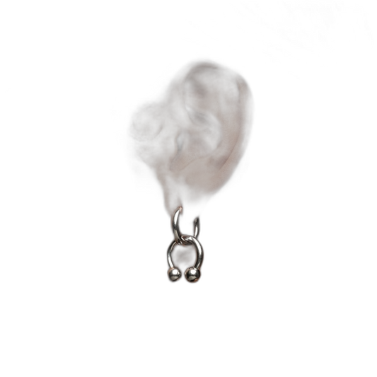 Horseshoe Hoops