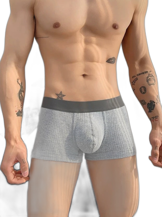 2 Pack Men's Ultra-Soft Premium Pure Cotton Comfy Waistband Seamless Trunks