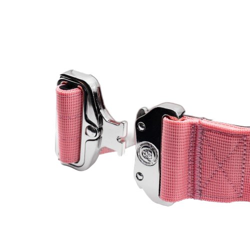 5cm Tactical Collar Pink