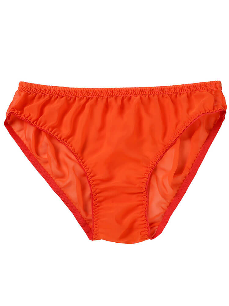 Men's Sexy Breathable Mulberry Silk Mesh Briefs