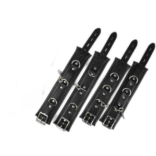 Full Access Bar Restraint System