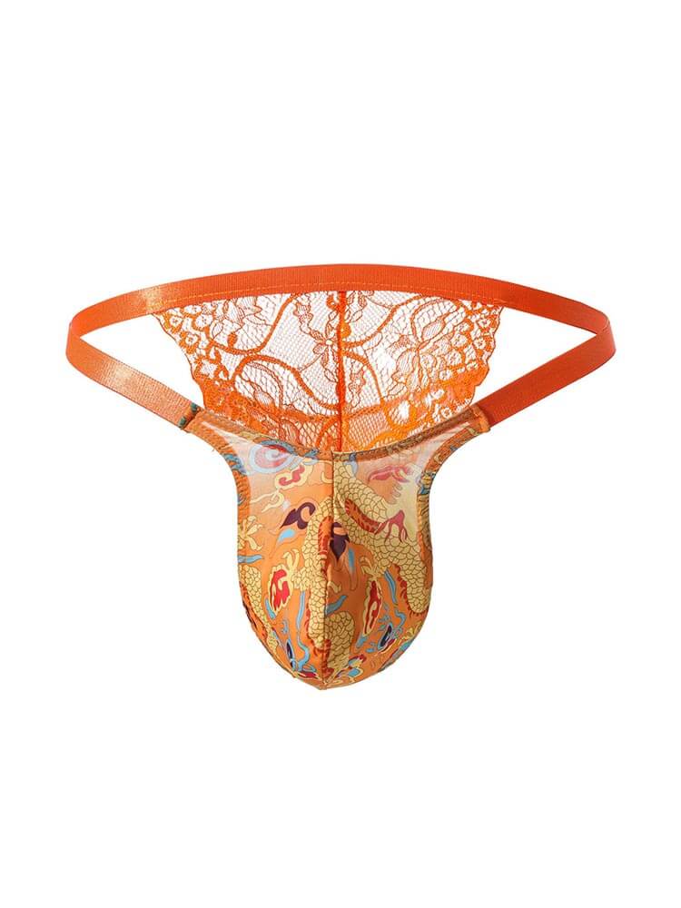 Men's Sexy Lace See-Through Mesh Printed Briefs
