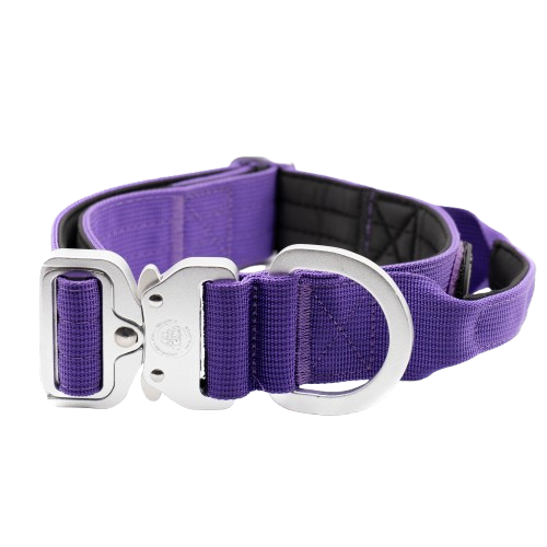 4cm Tactical Collar Purple