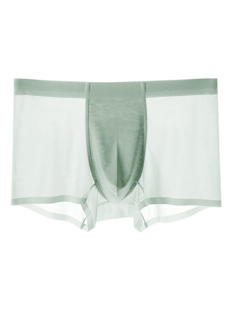 Men's Ice Silk Quick Dry Nylon Trunks