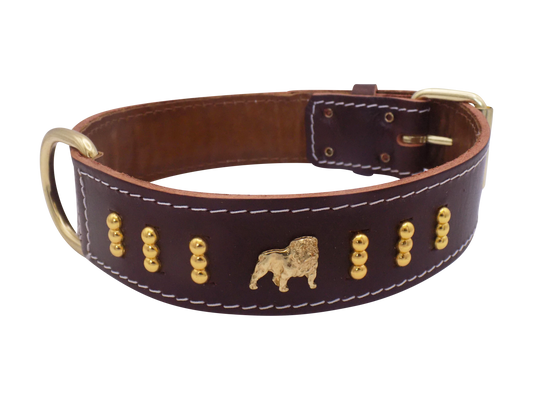 1.5" wide Leather Dog Collar with Unique Gold Design and English Bulldog Badges Style-4