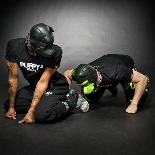 GEAR SHIRT PUPPY