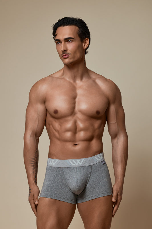 VISIBLY TRUNK COTTON STRETCH - GREY MELANGE