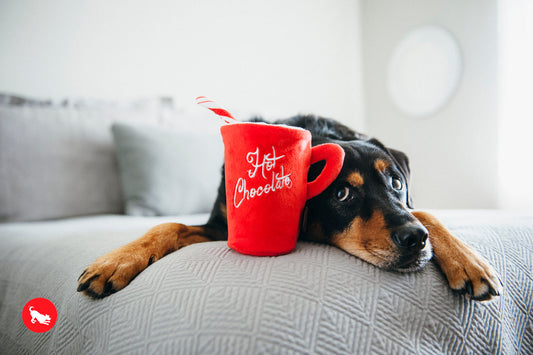Christmas Hot Chocolate