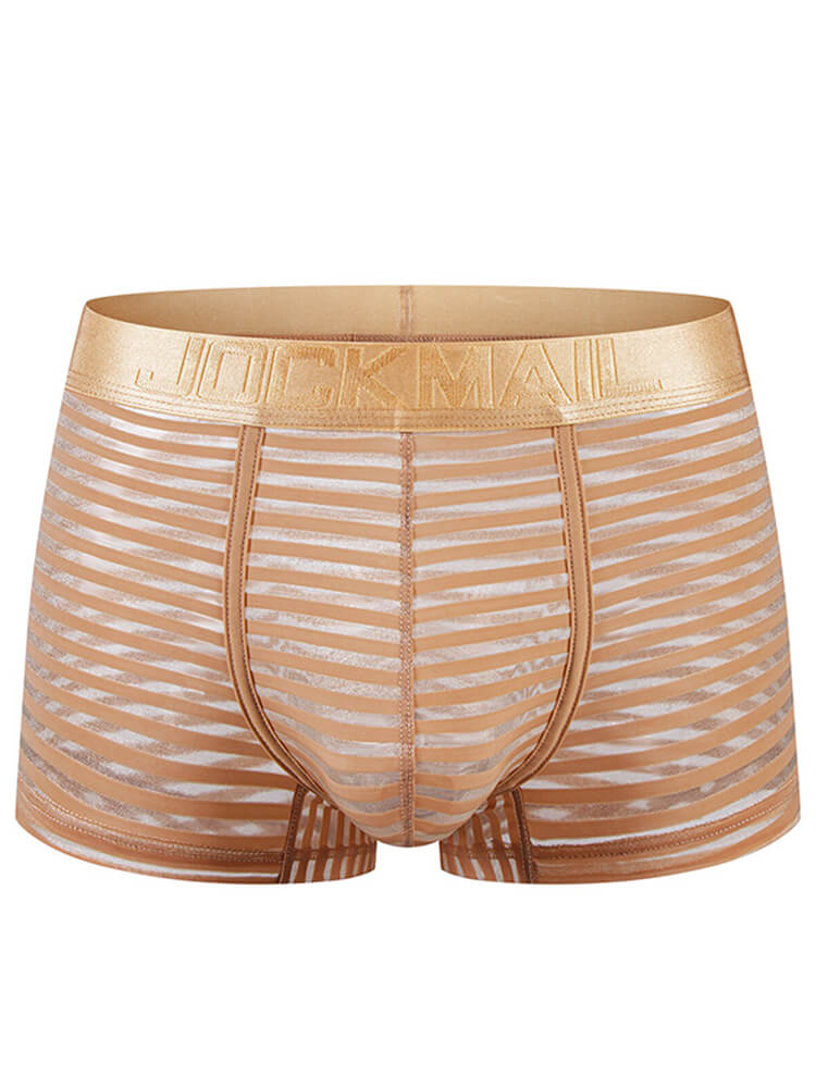 Men's Lightweight Sheer Striped U-Pouch Trunks