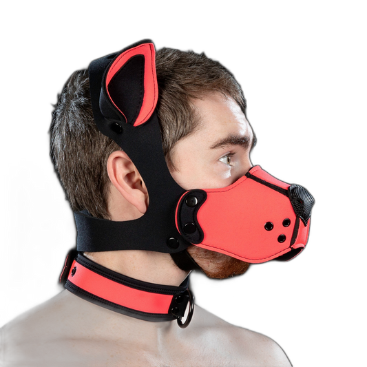 Mr S Leather Neoprene K9 Kit Muzzle Pink