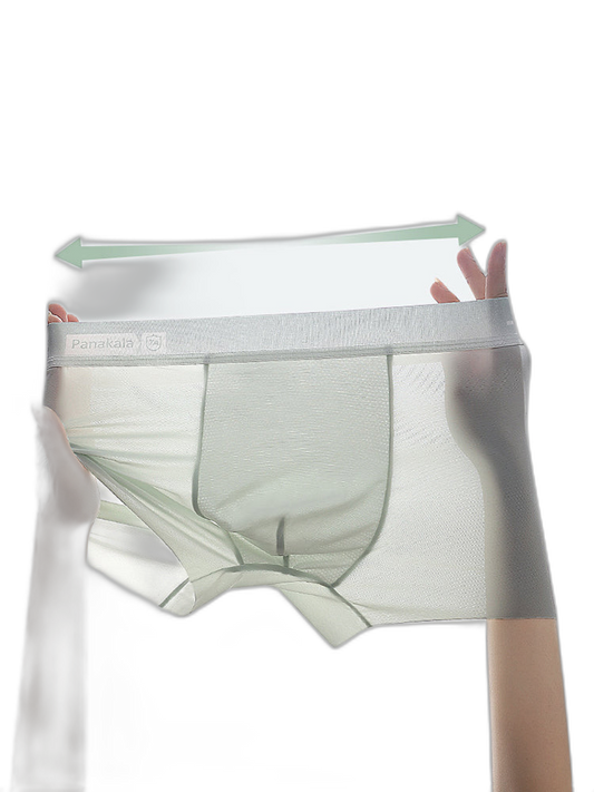 4 Pack Men's Breathable Ice Silk Antibacterial Sports Trunks