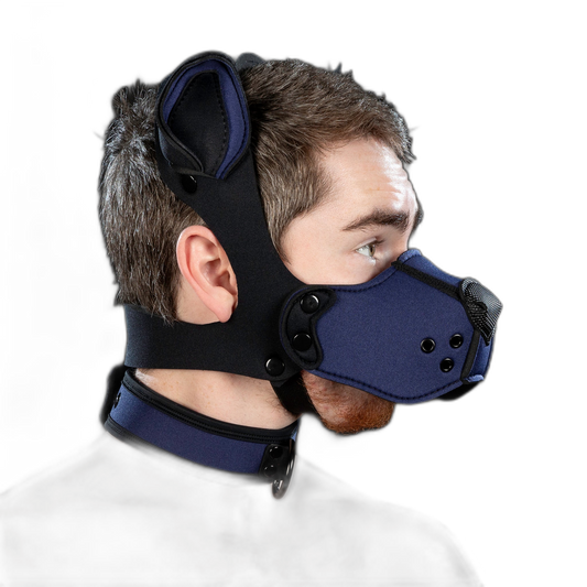 Mr S Leather Neoprene K9 Kit Navy