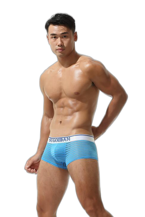 Men's Sexy Transparent Striped Trunks