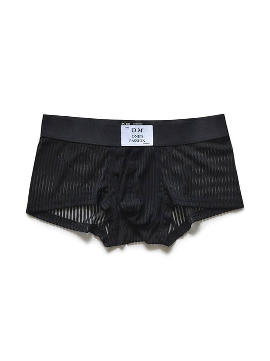 D.M Men's Sexy Mesh Sheer Solid Color Boxer Briefs