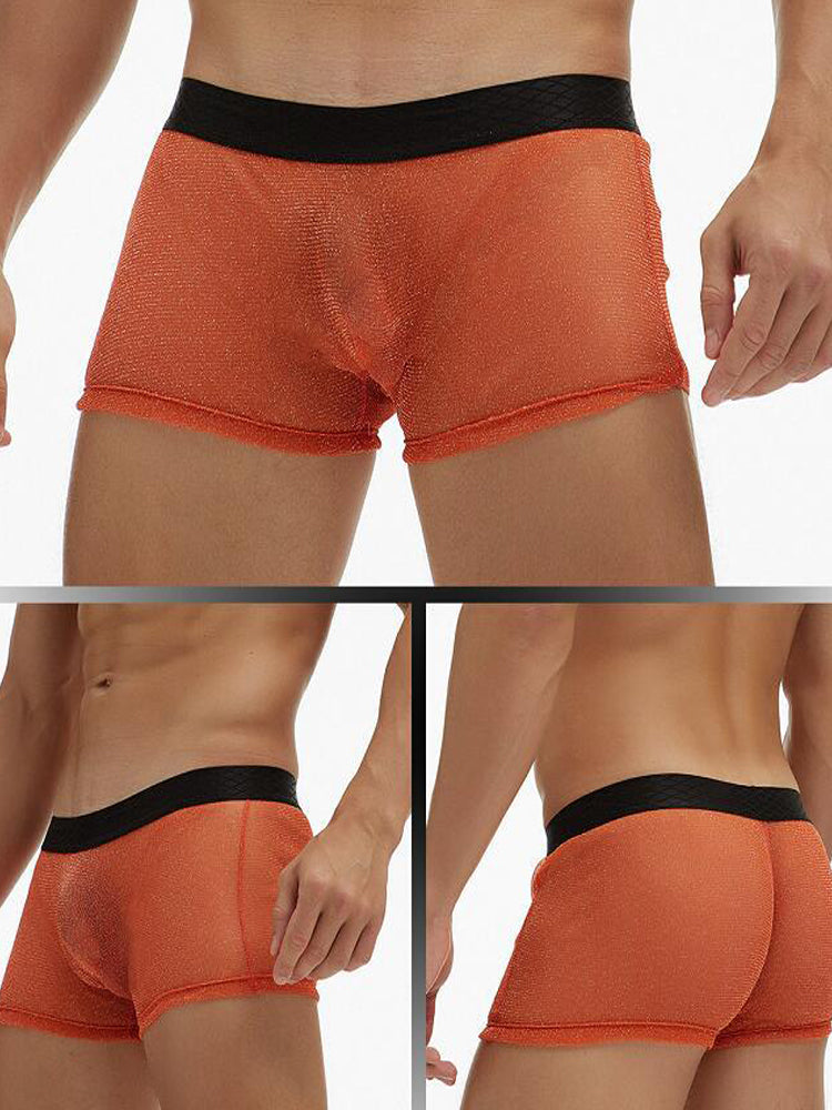 Men's Sheer Mesh Pouch Boxer