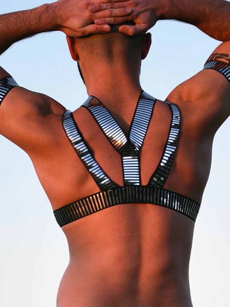Silver Slave Daddy Harness