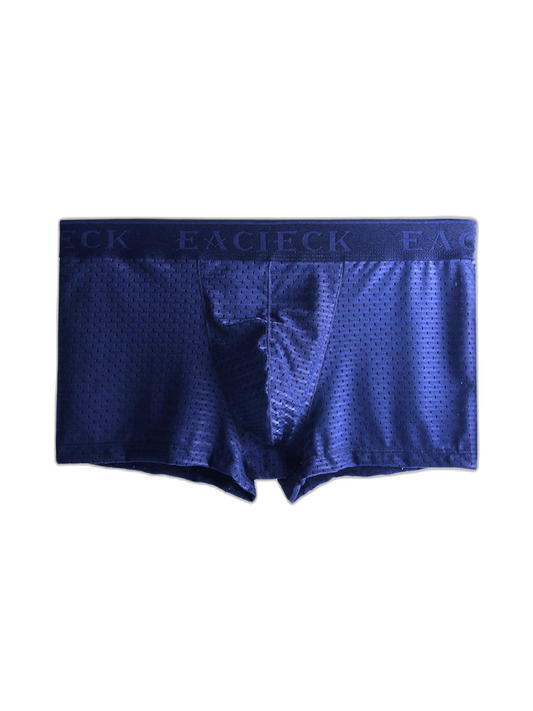 Men's Mesh Thin Ice Silk High-Stretch Comfy Waistband Trunks